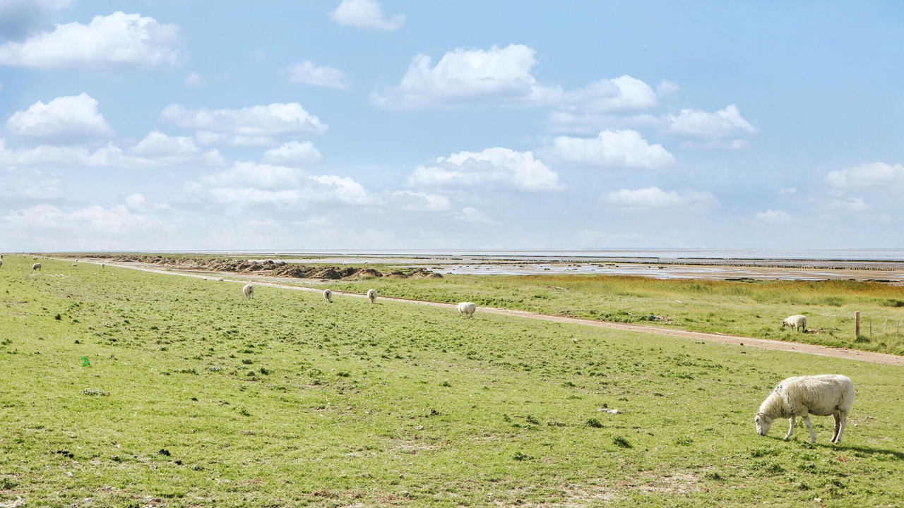 Photo of Others in Emmerlev
