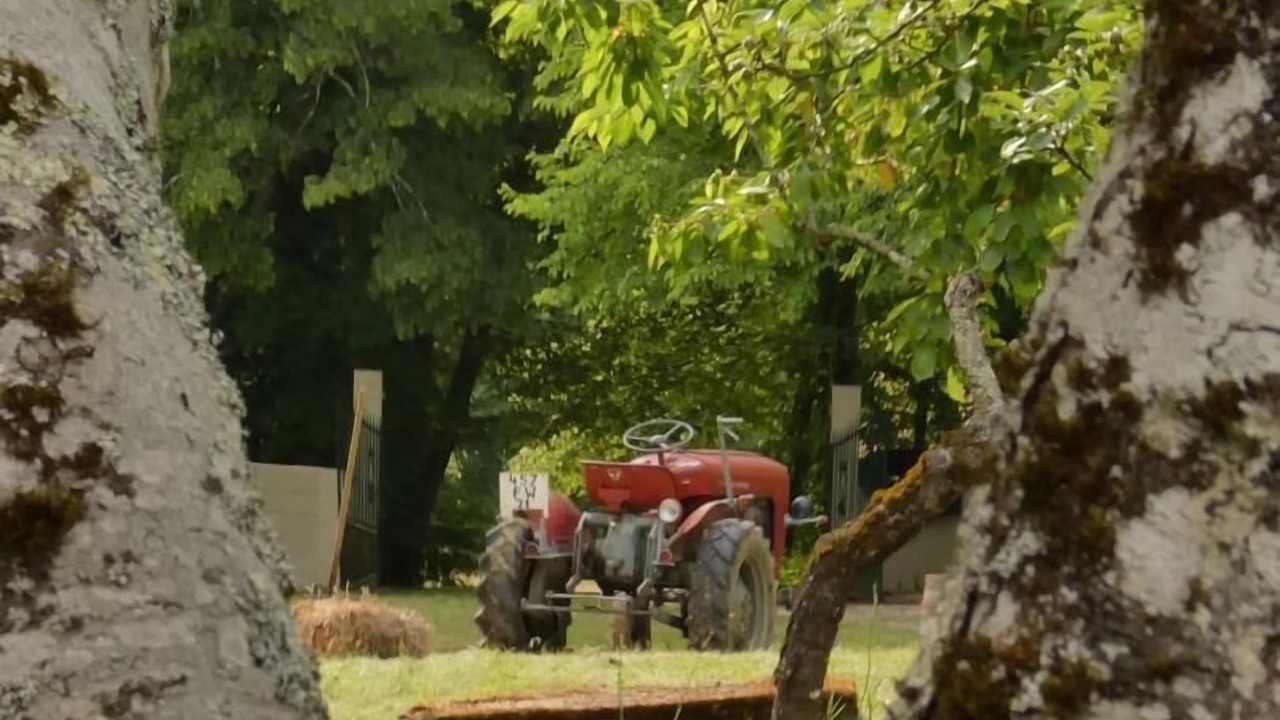 Photo of Outdoor in Montcony