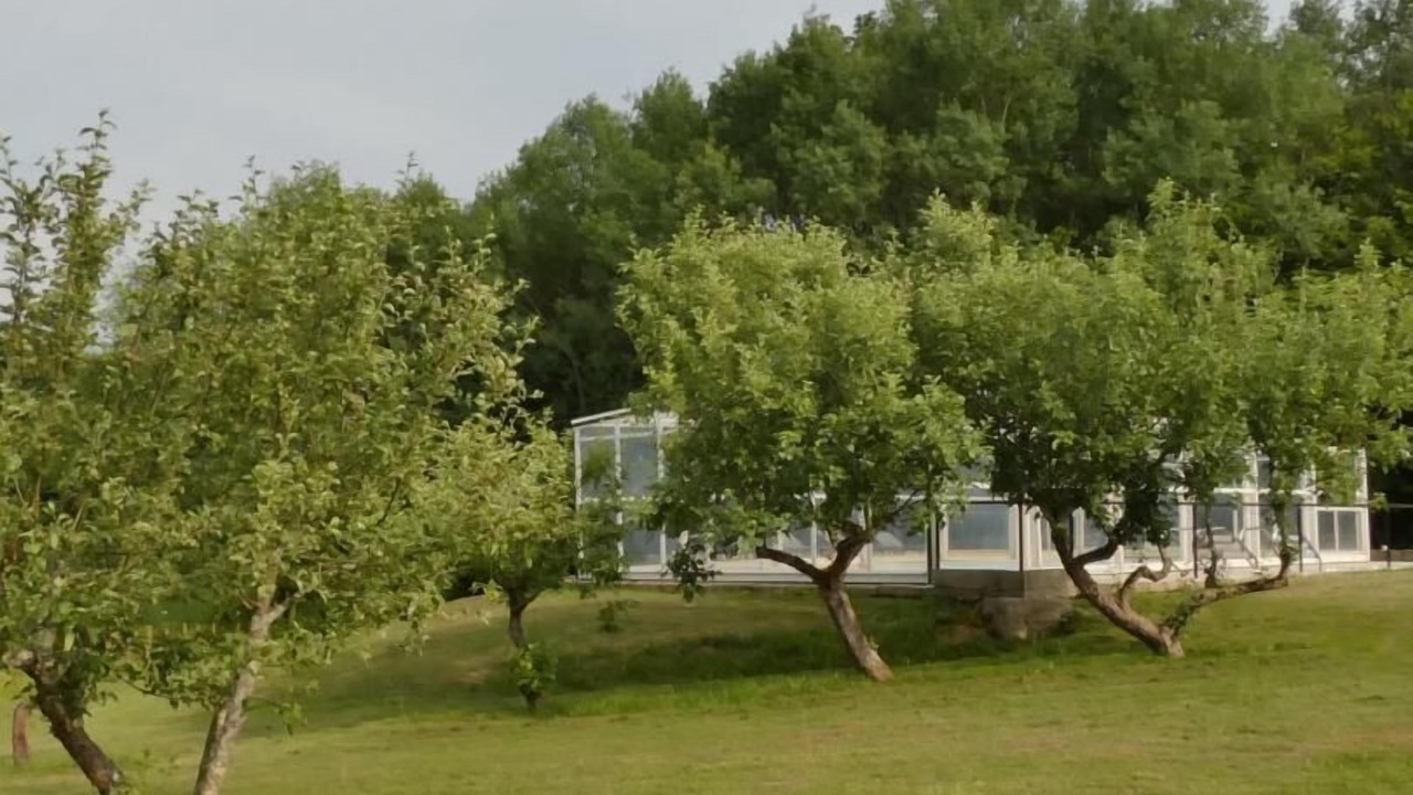 Photo of Outdoor in Montcony