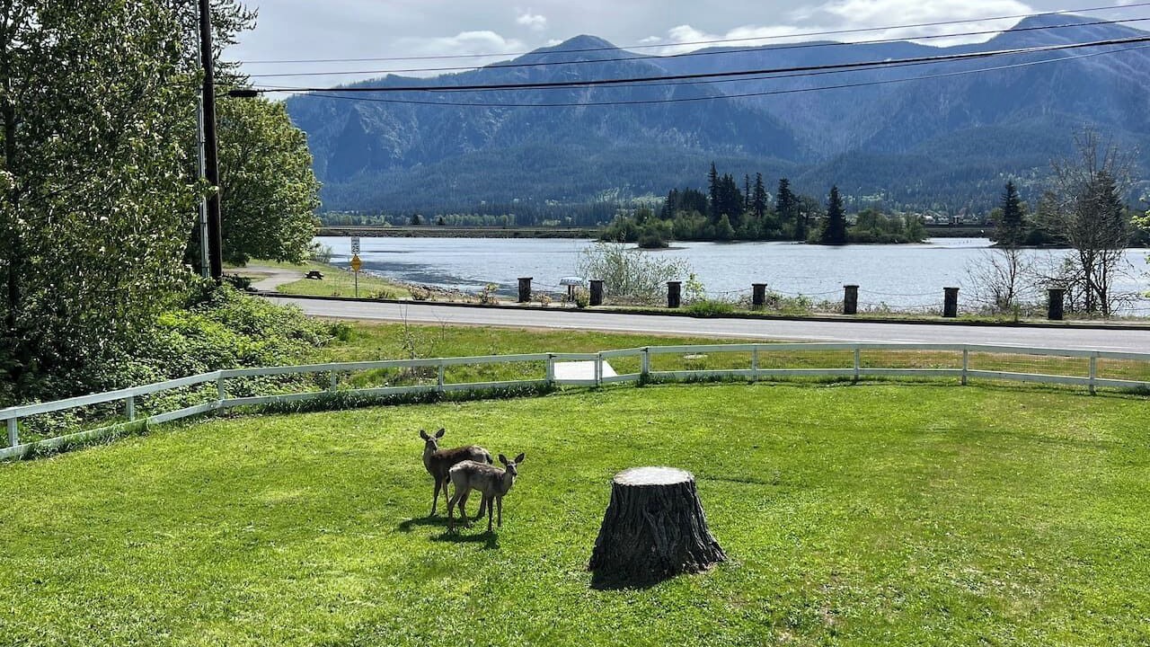 Photo of Outdoor in Stevenson