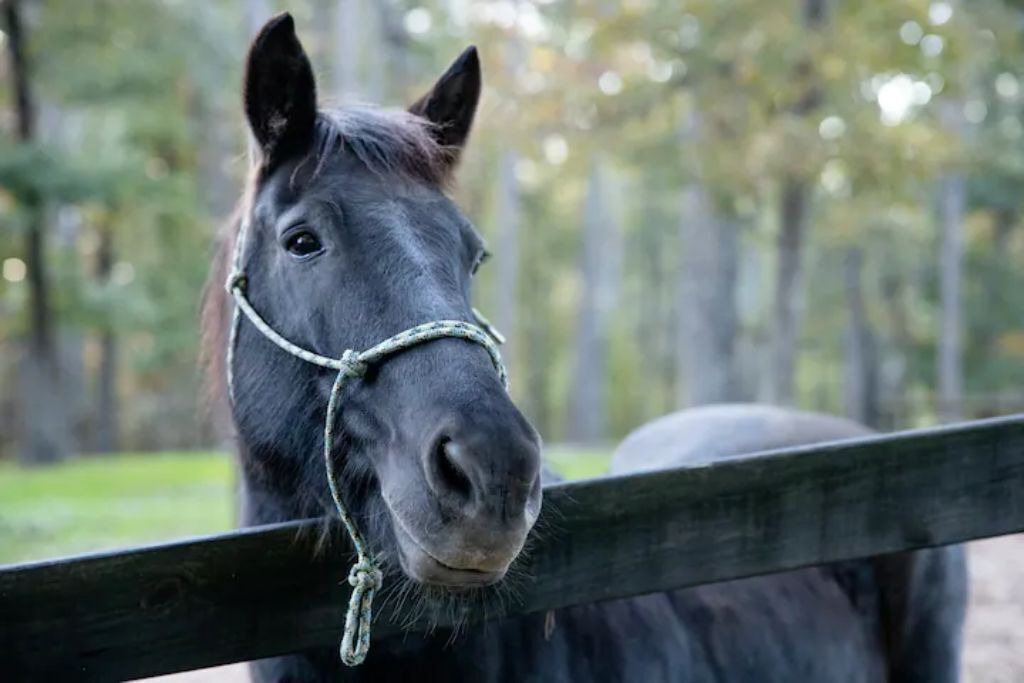 Photo of Others in Canton