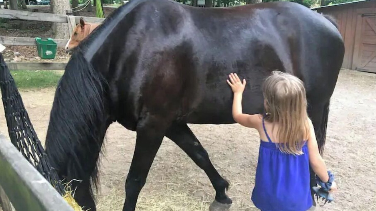 Photo of Others in Canton