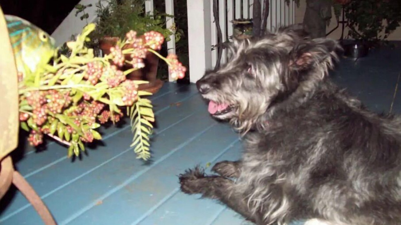 Photo of Outdoor in Canton