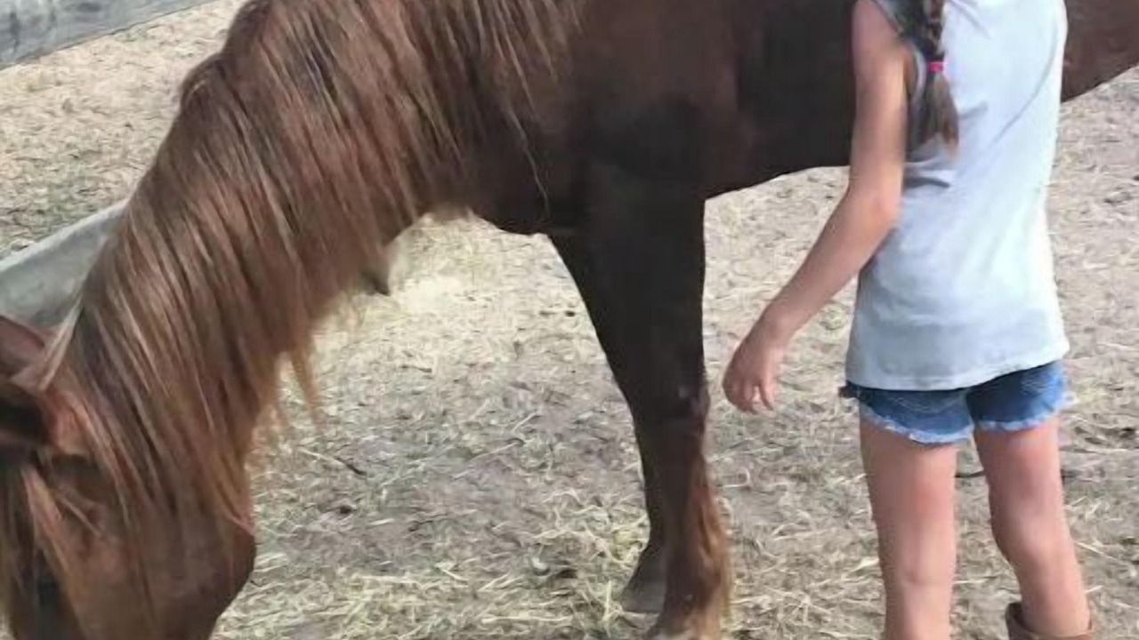 Photo of Others in Canton