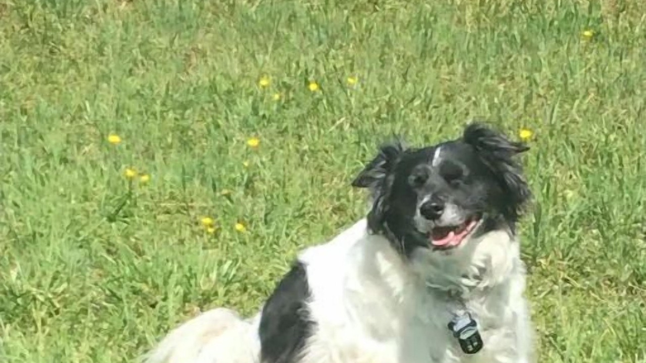 Photo of Others in Canton