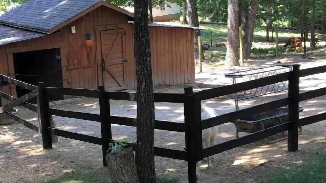 Photo of Outdoor in Canton