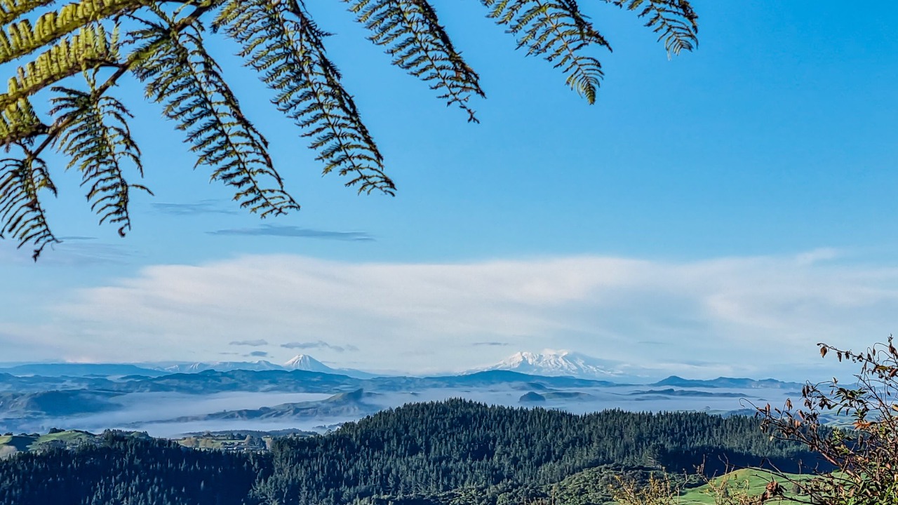 Photo of Outdoor in Waitomo Caves