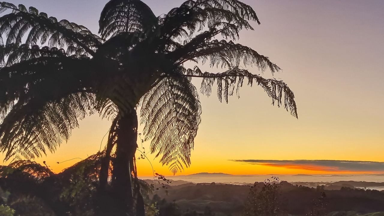 Photo of Outdoor in Waitomo Caves
