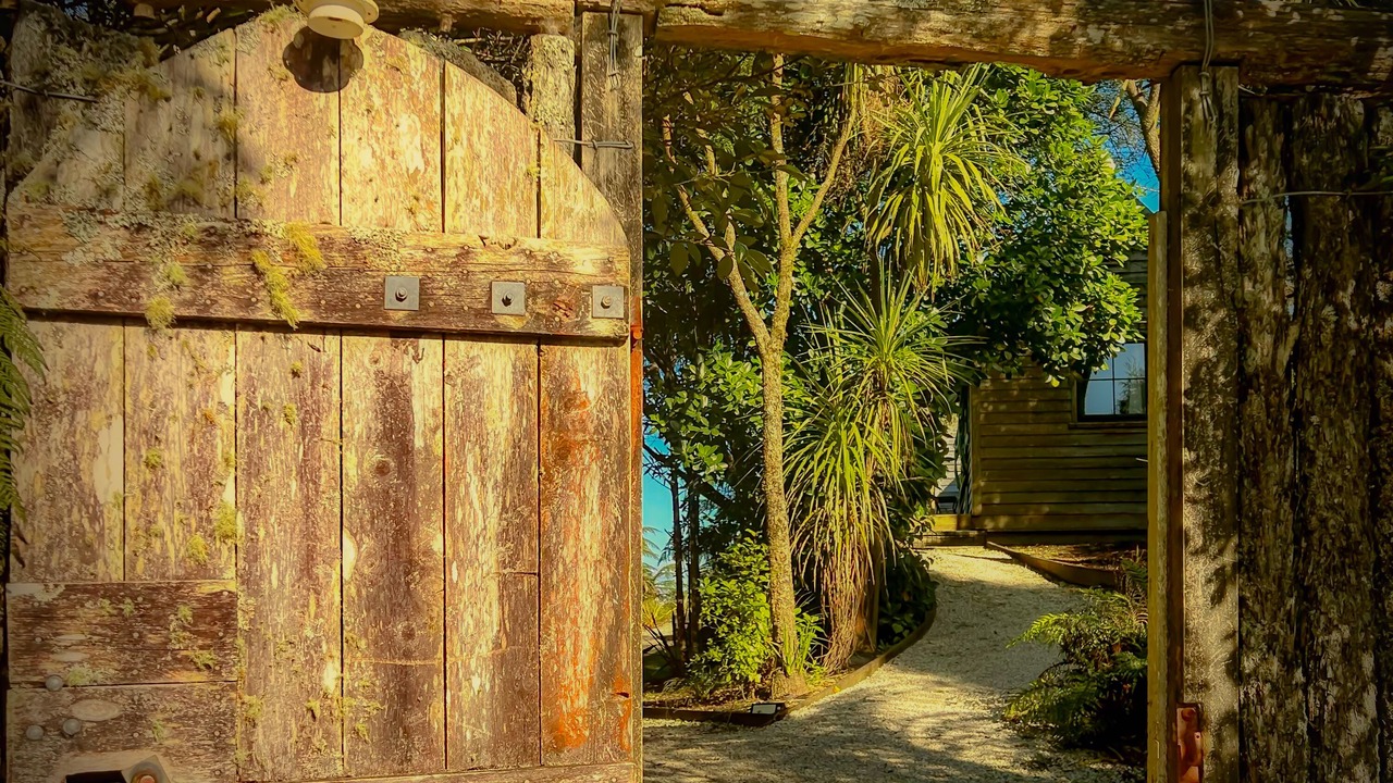 Photo of Outdoor in Waitomo Caves