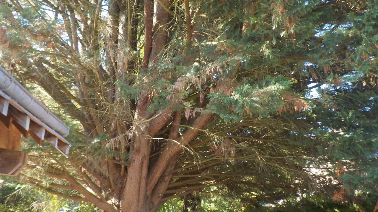 Photo of Outdoor in Chahaignes