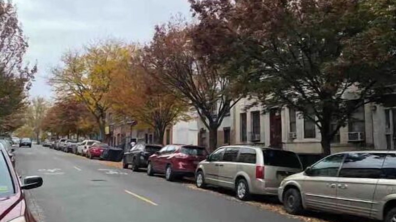 Photo of Others in Crown Heights