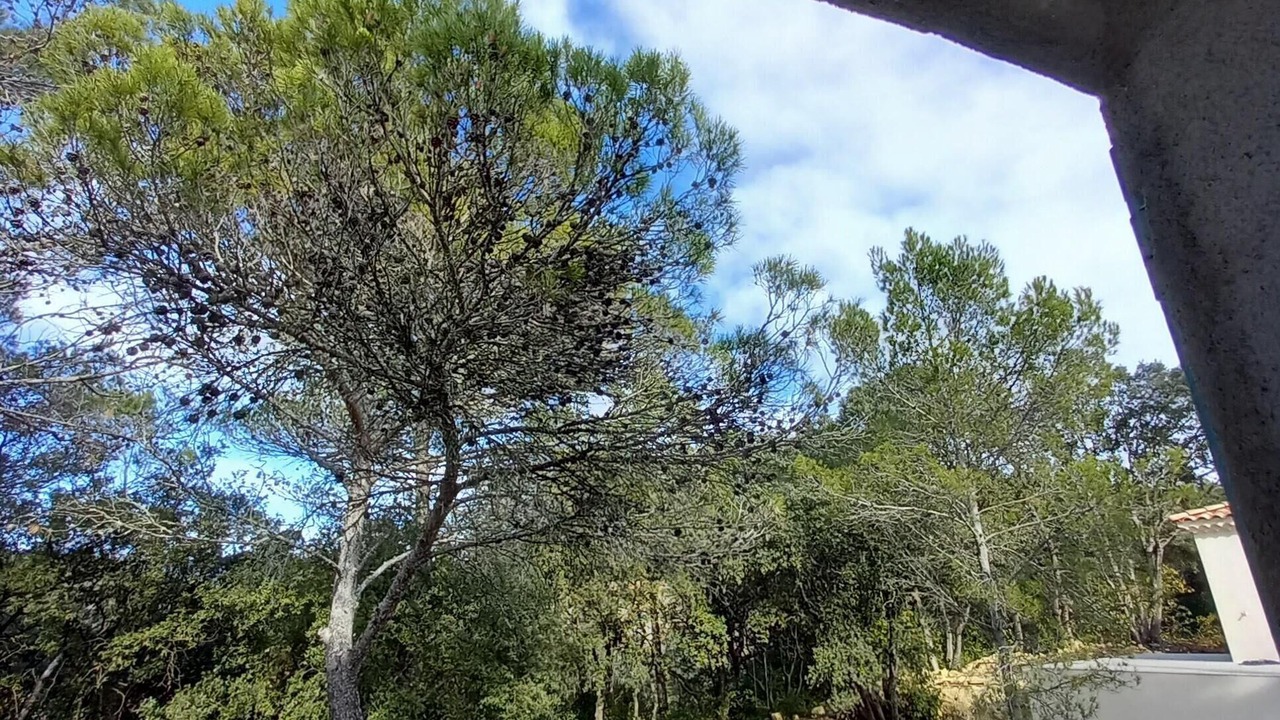 Photo of Outdoor in Boisset-et-Gaujac