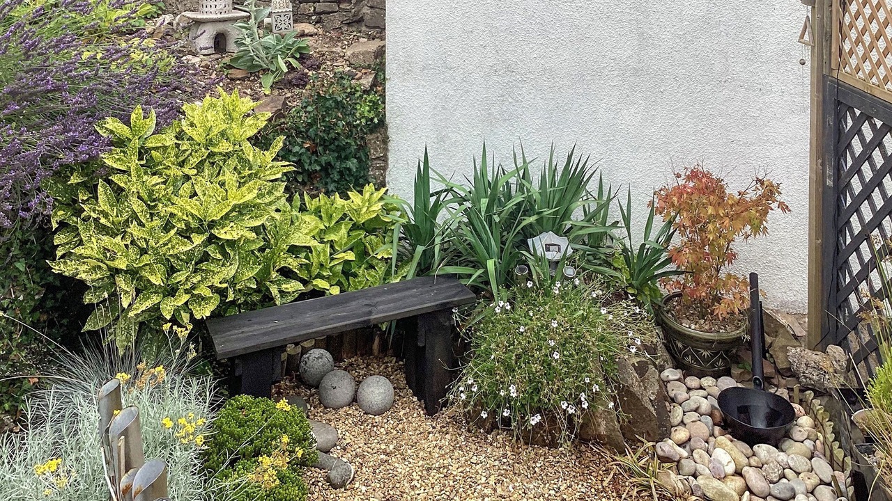 Photo of Outdoor in Littleham