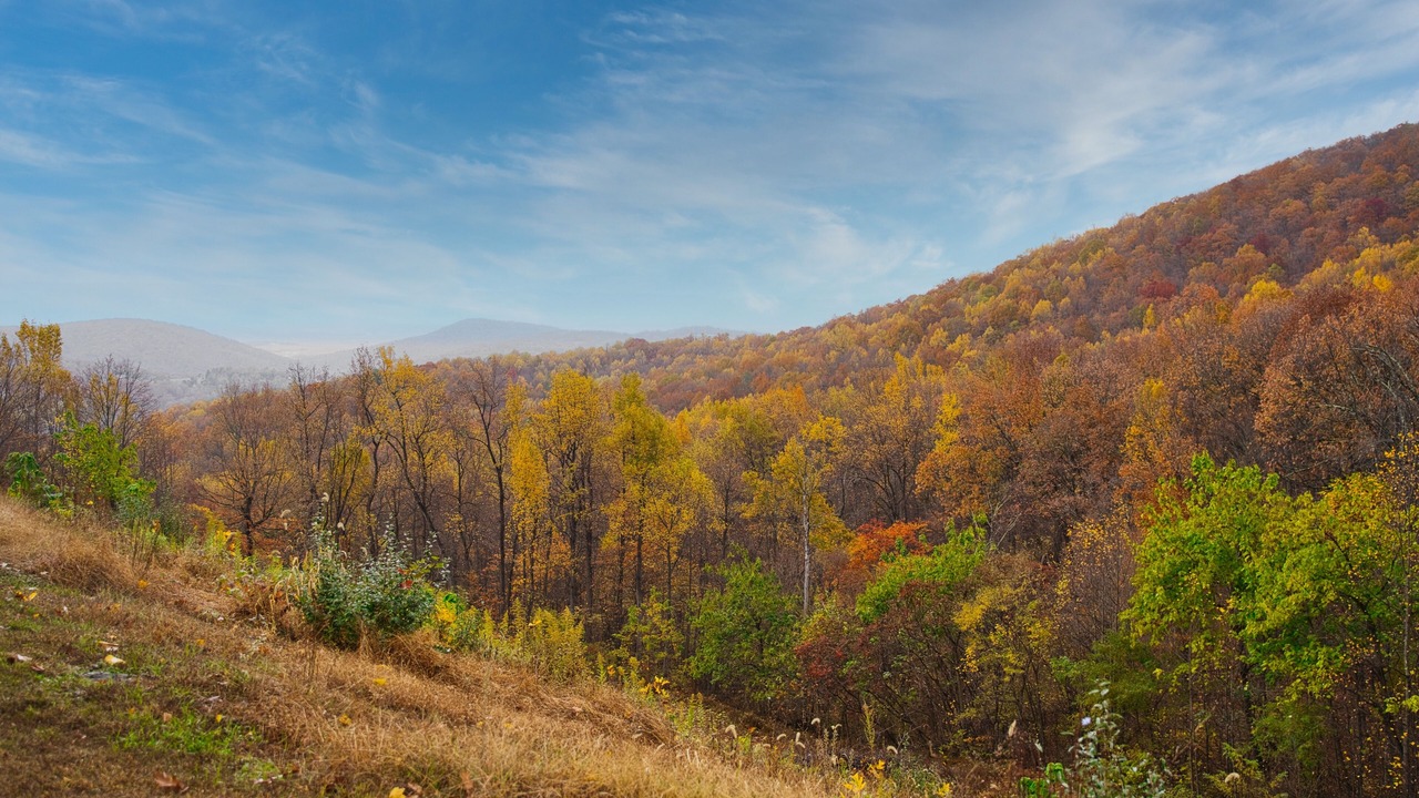 Photo of Outdoor in Stanley