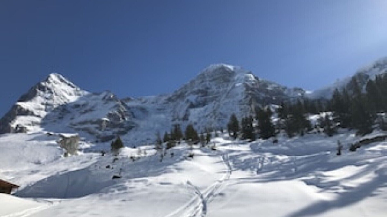 Photo of Others in Wengen