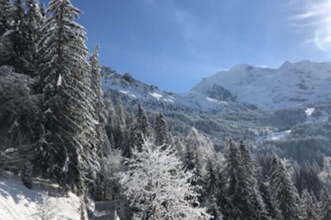 Photo of Others in Wengen