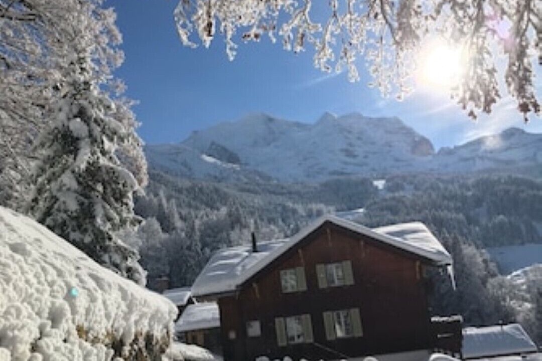 Photo of Others in Wengen