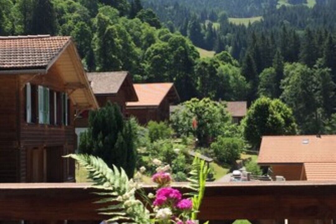 Photo of Patio Balcony in Wengen