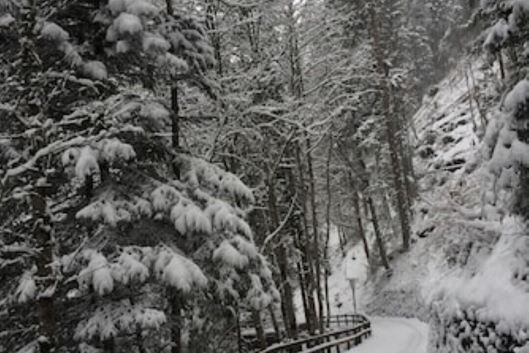 Photo of Others in Wengen