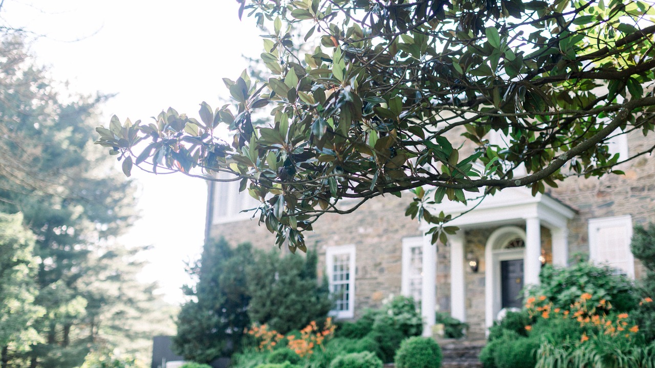 Photo of Outdoor in Blue Ridge
