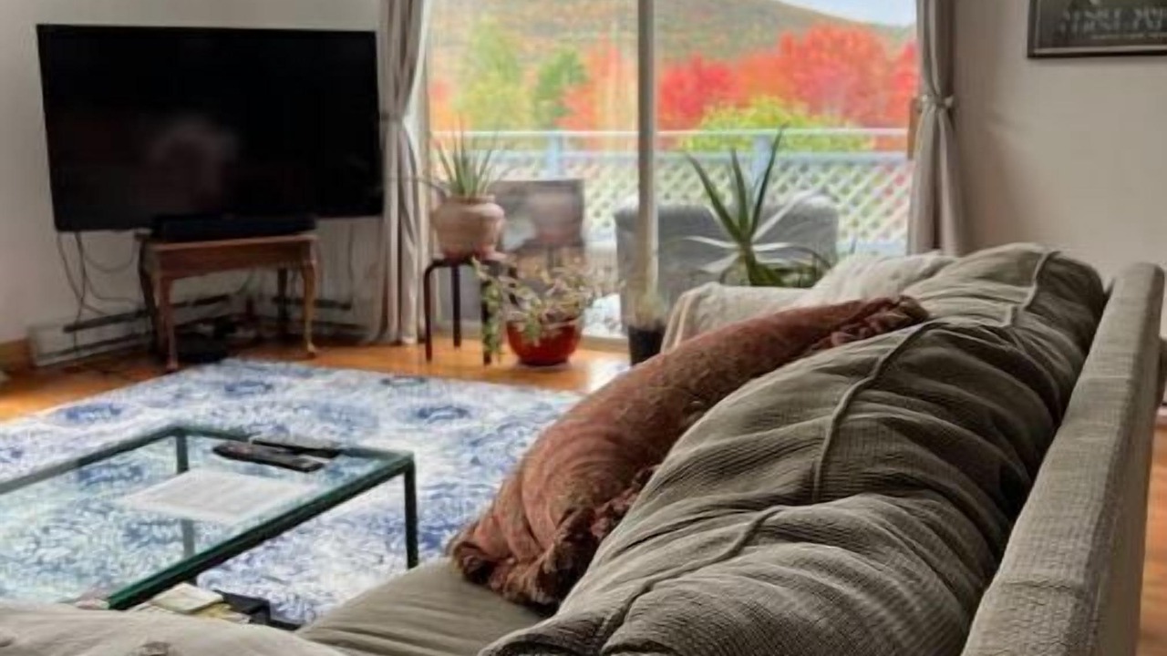 Photo of Livingroom in East Jewett