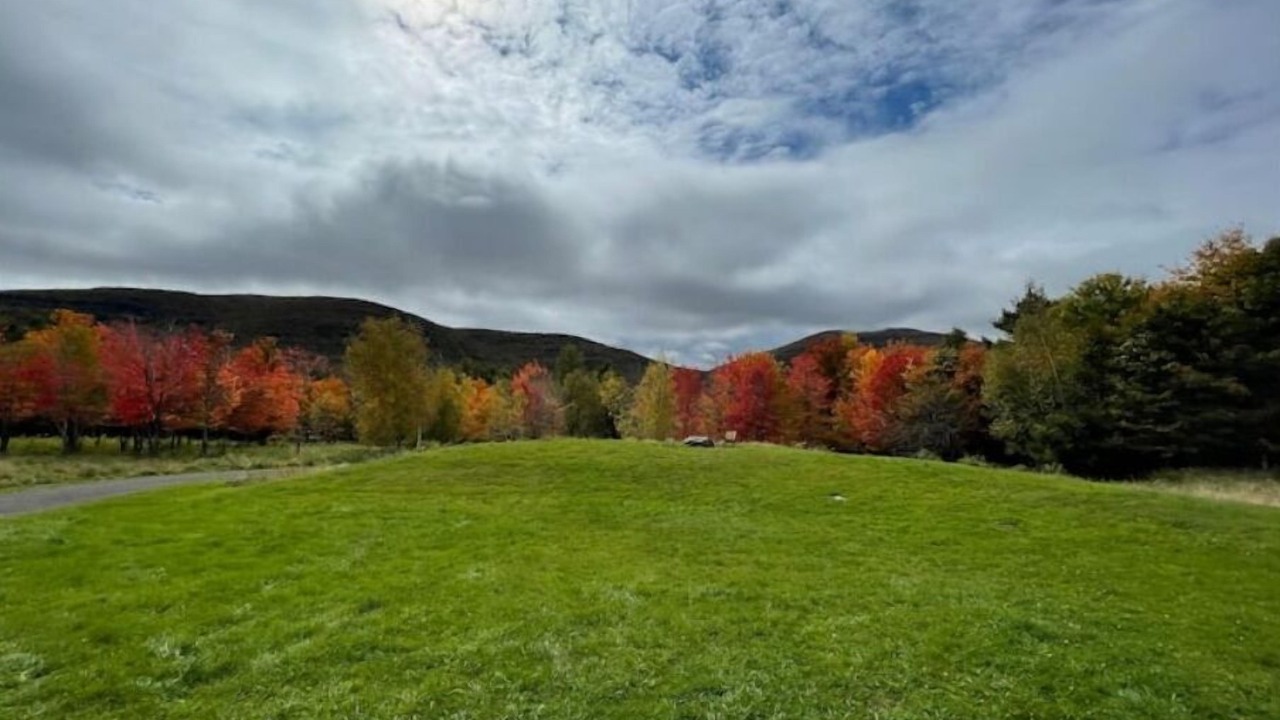 Photo of Outdoor in East Jewett