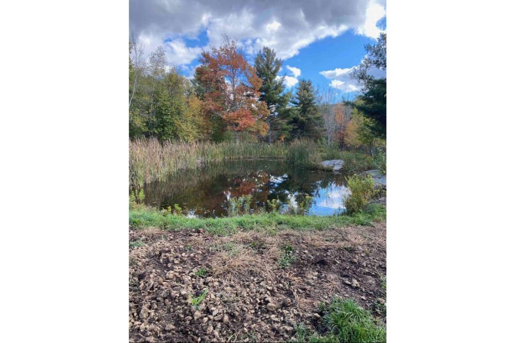 Photo of Others in East Jewett