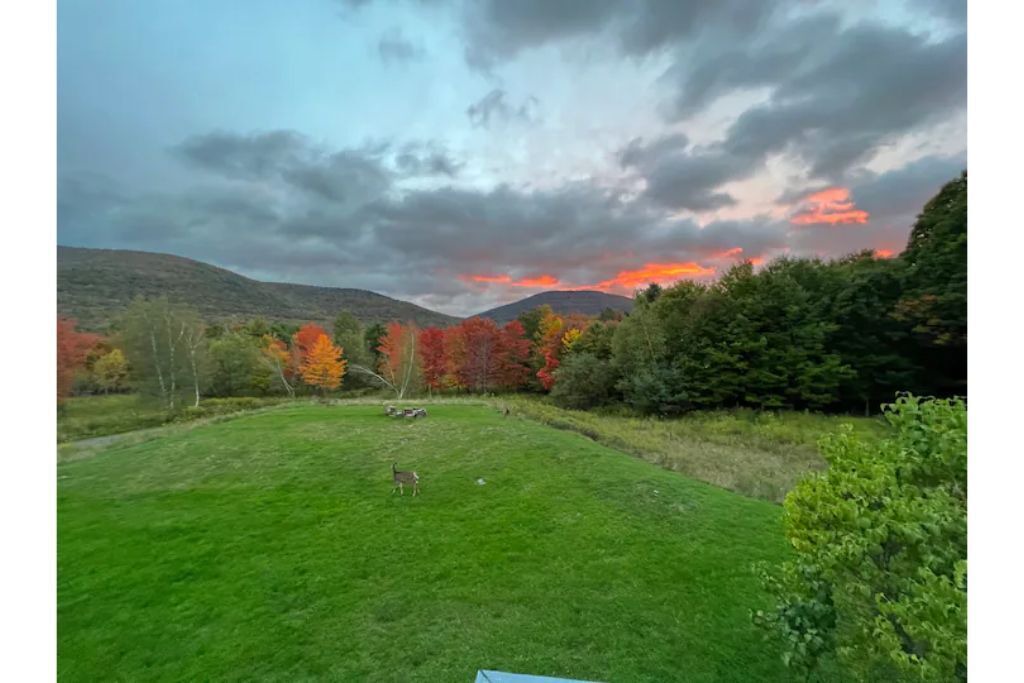 Photo of Outdoor in East Jewett