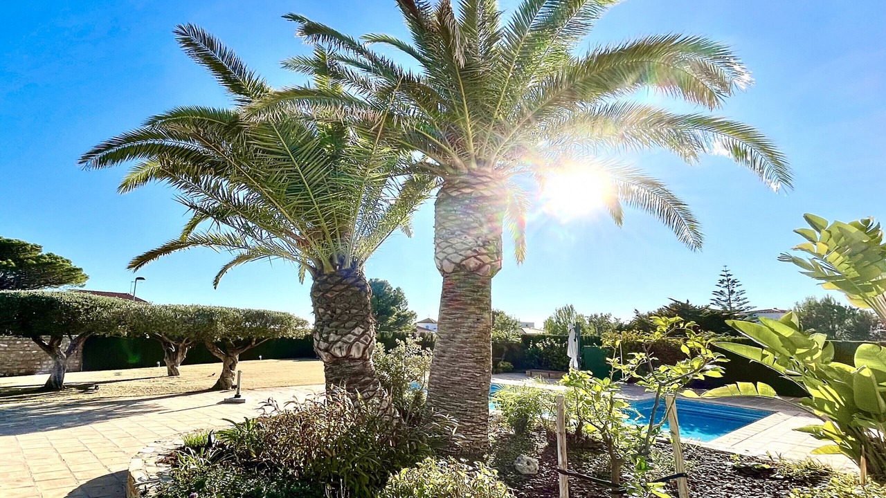 Photo of Outdoor in Calafat
