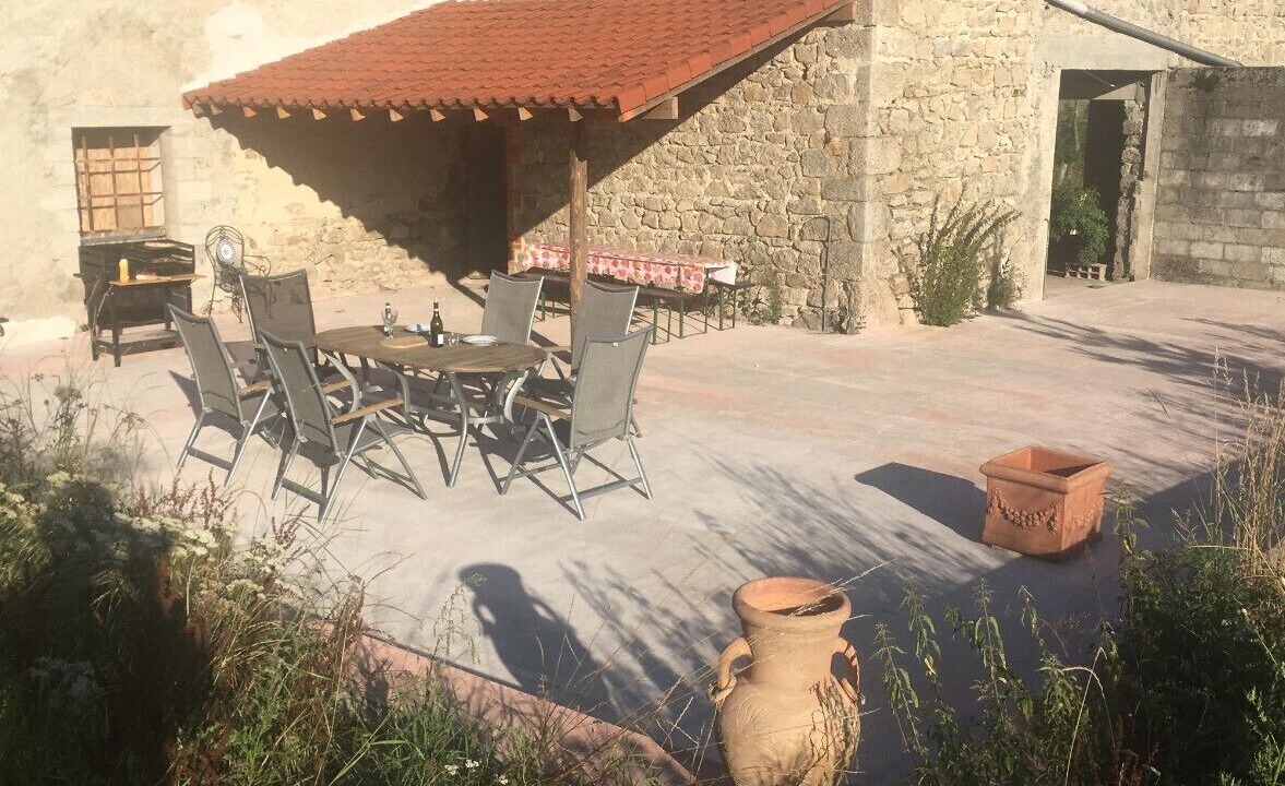 Photo of Outdoor in Felines