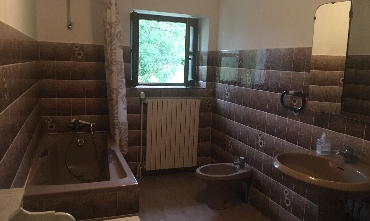 Photo of Bathroom in Felines