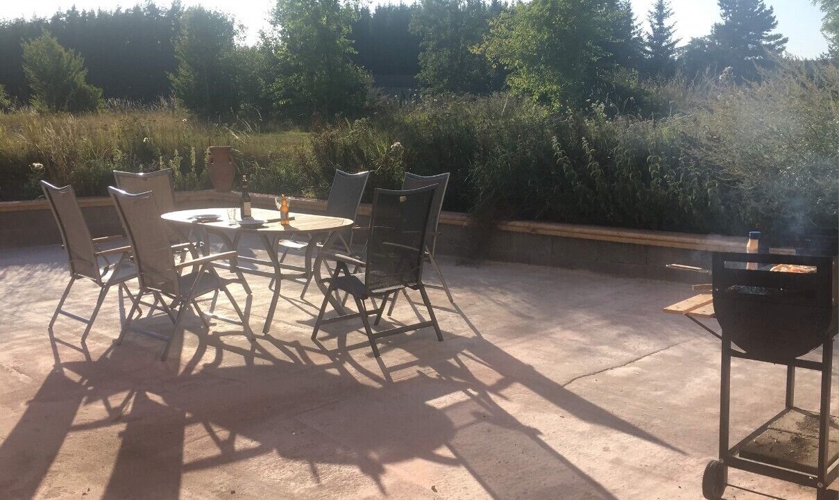 Photo of Outdoor in Felines