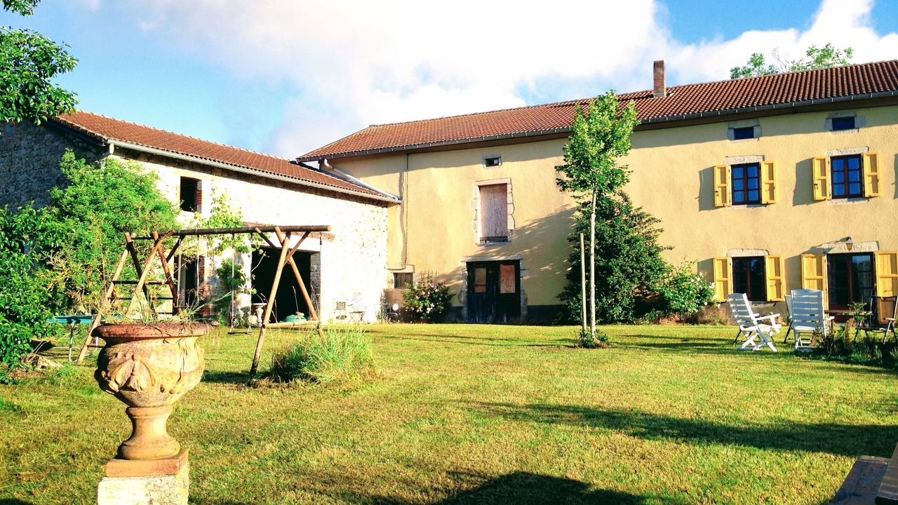 Photo of Outdoor in Felines
