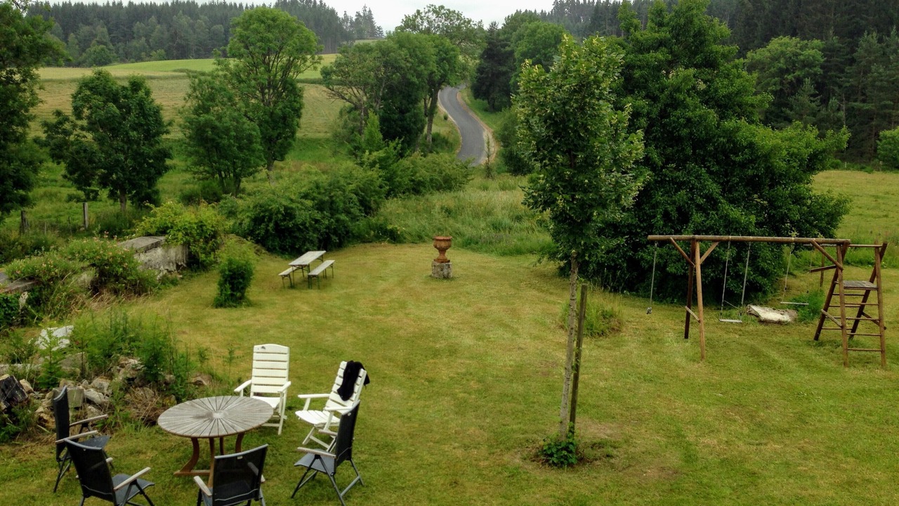 Photo of Outdoor in Felines