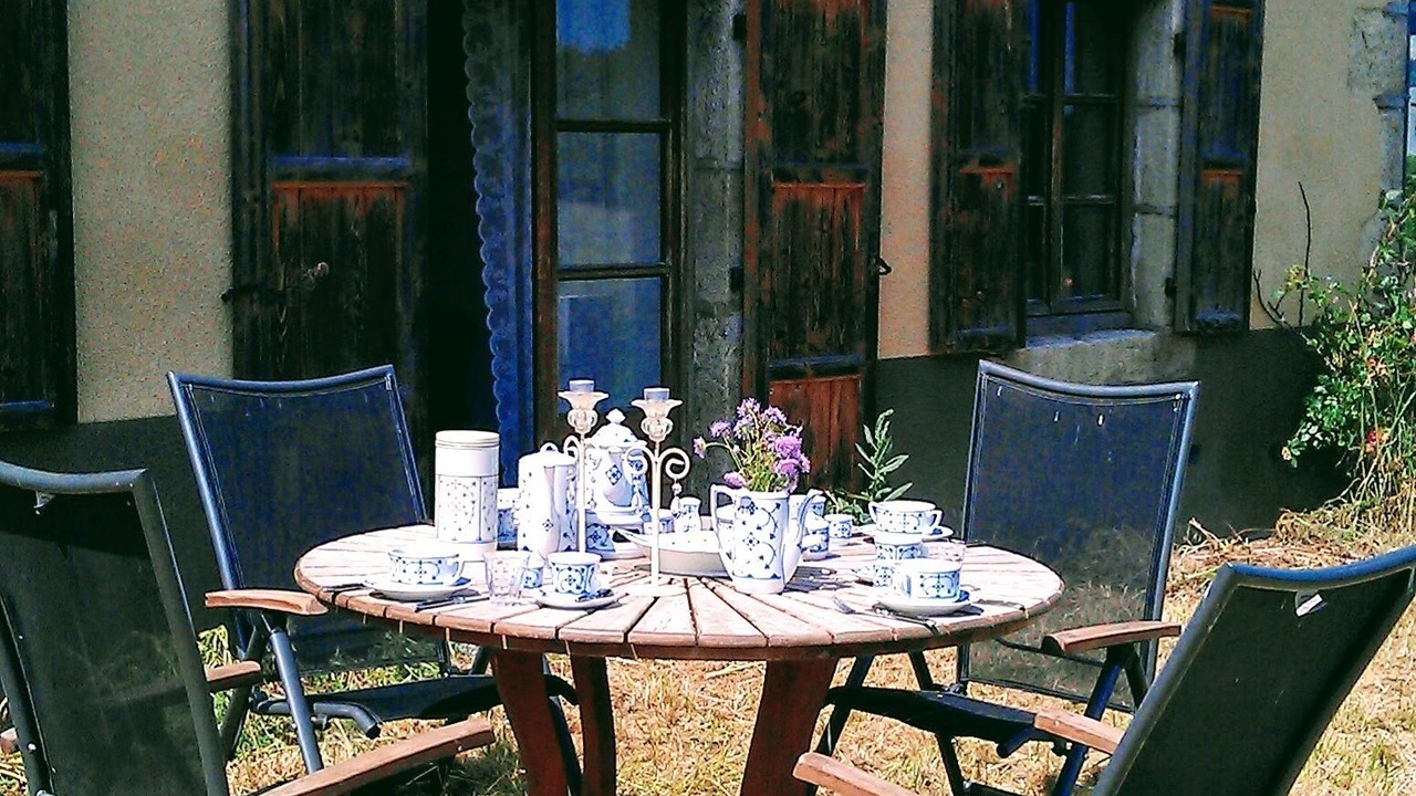 Photo of Outdoor in Felines