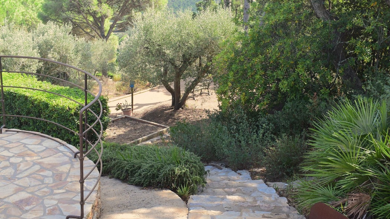 Photo of Outdoor in Aiguablava