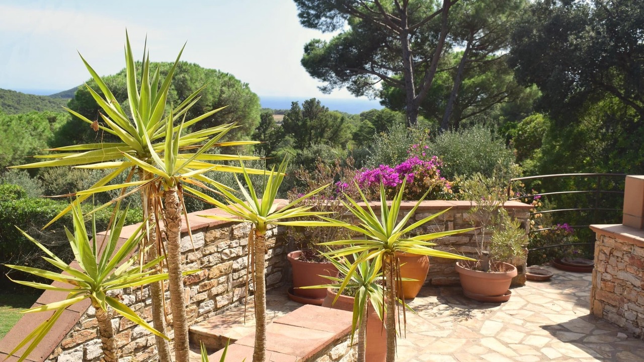 Photo of Outdoor in Aiguablava