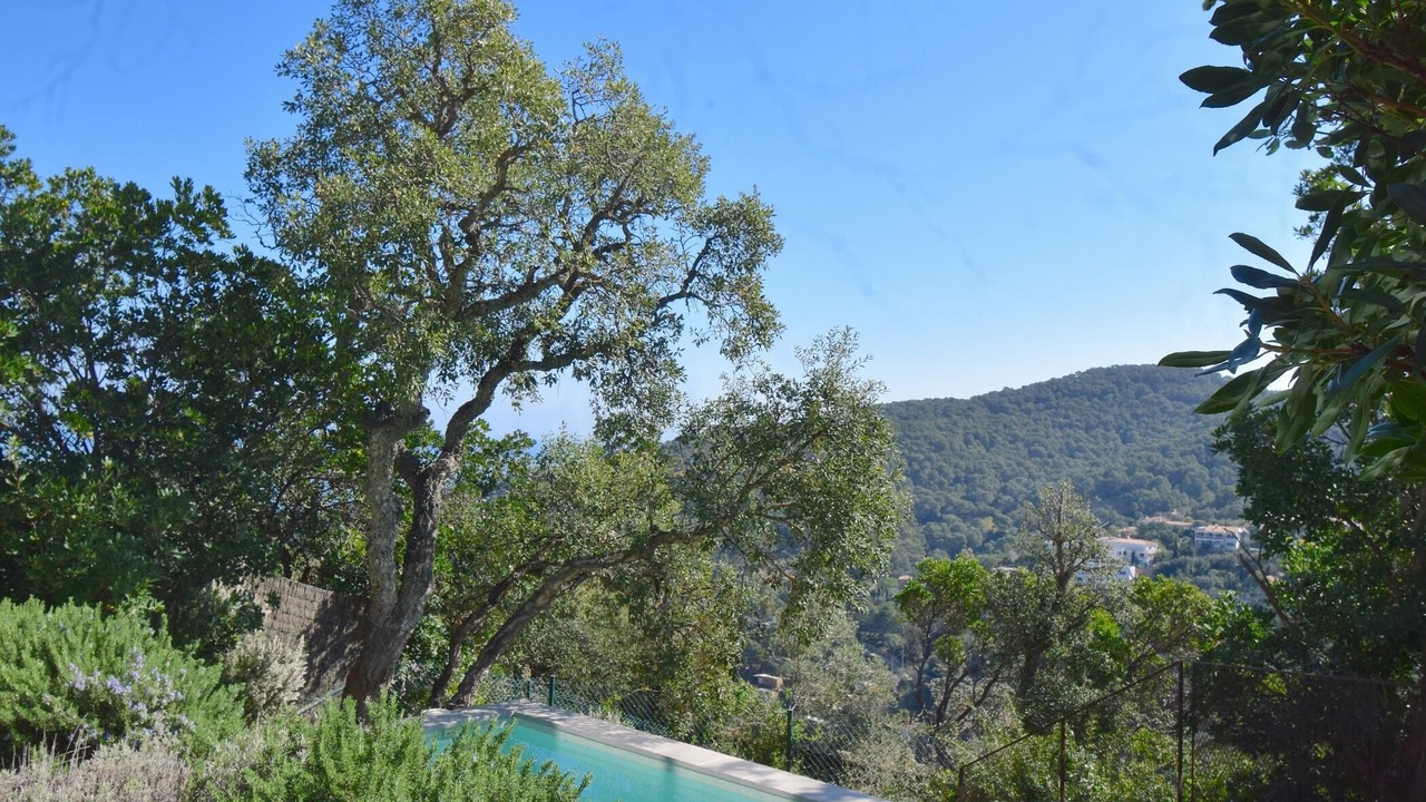 Photo of Outdoor in Sa Riera