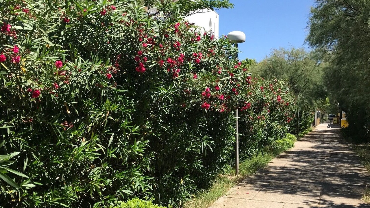 Photo of Outdoor in Le Couchant