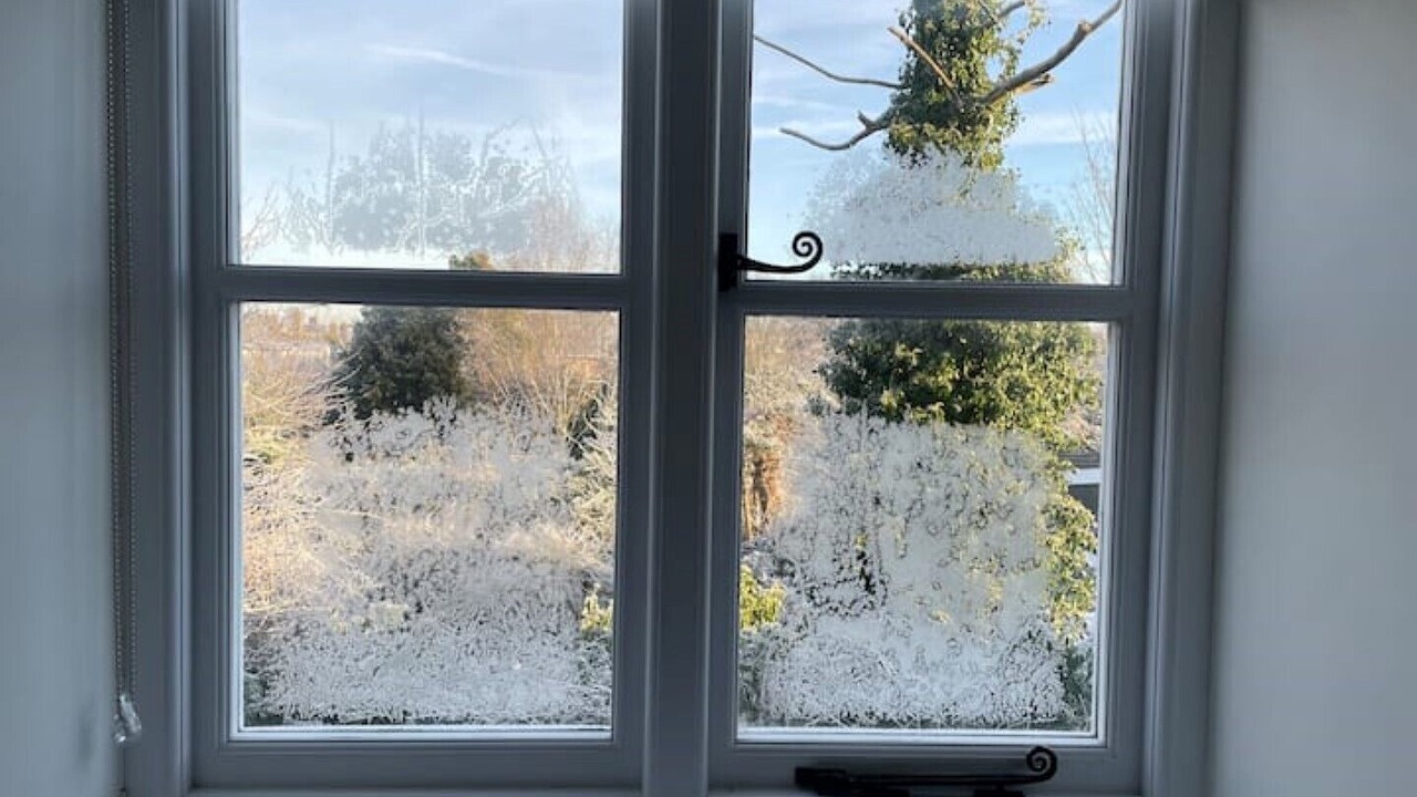 Photo of Others in Ely