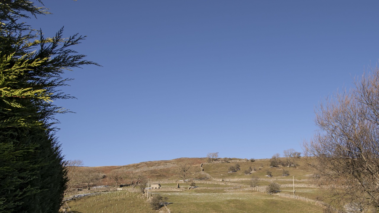 Photo of Others in Fremington