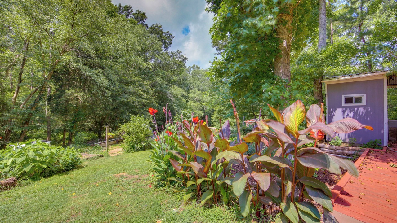Photo of Outdoor in Gallatin