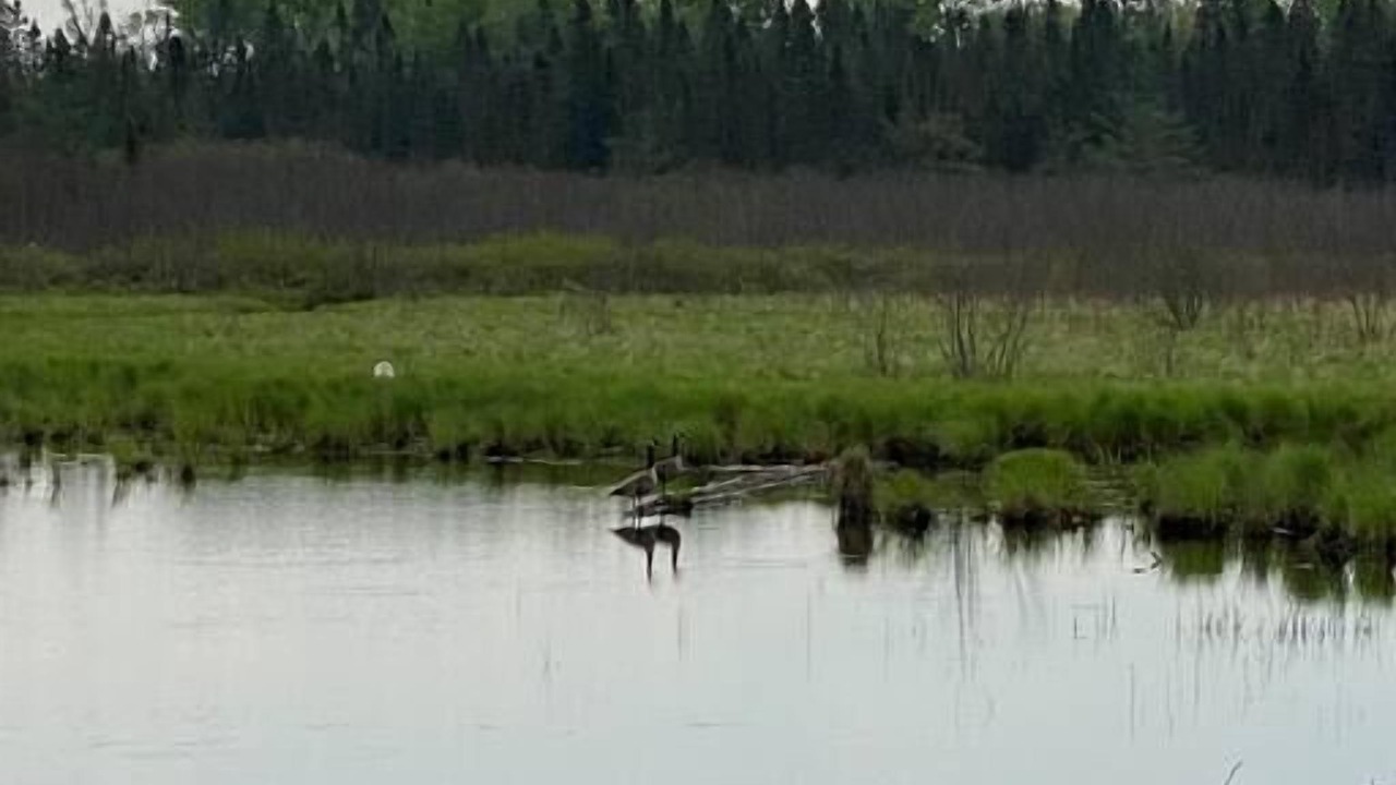 Photo of Others in Herron