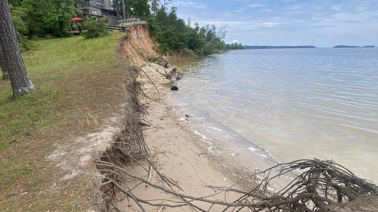 Photo of Others in South Toledo Bend