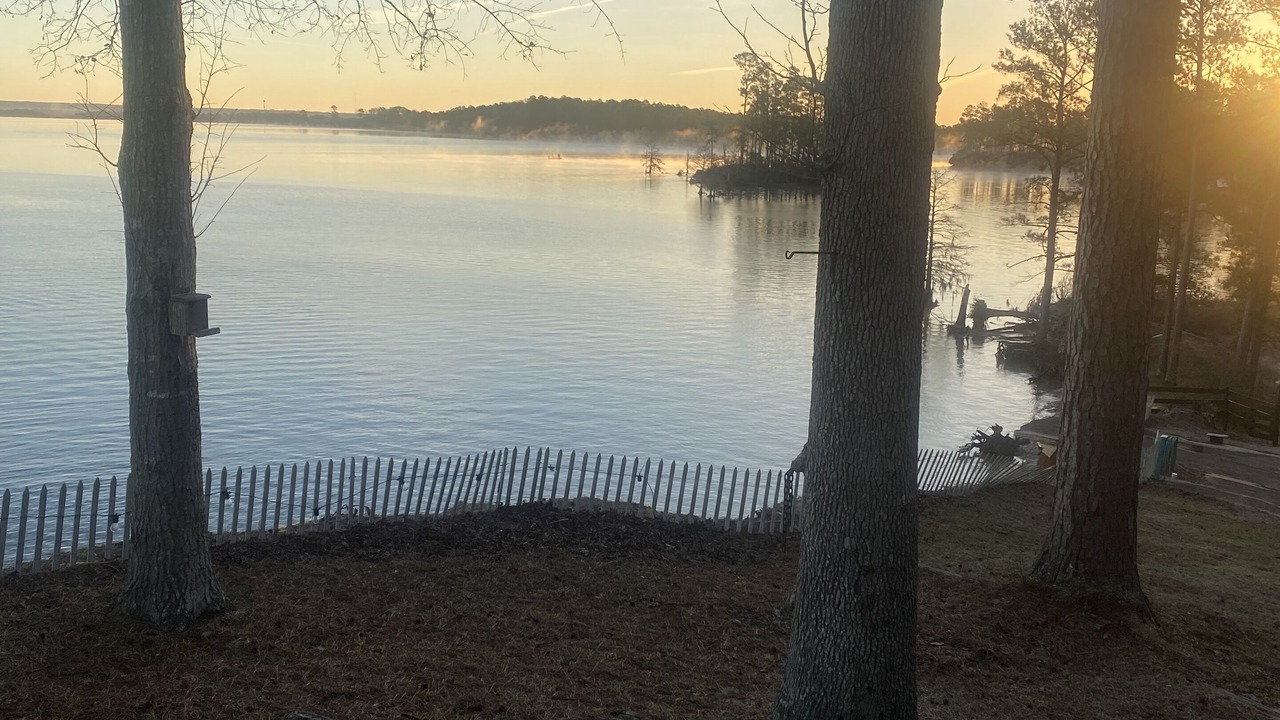 Photo of Outdoor in South Toledo Bend