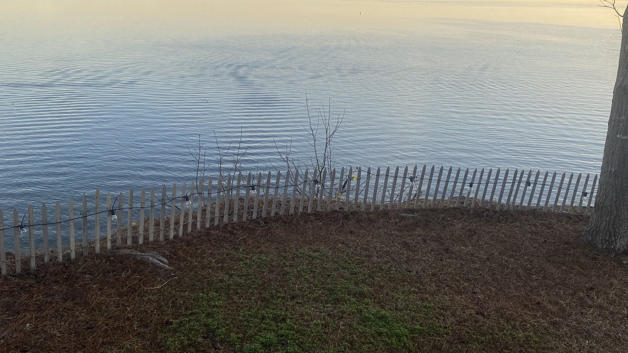 Photo of Outdoor in South Toledo Bend