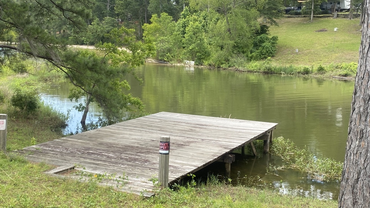Photo of Outdoor in South Toledo Bend