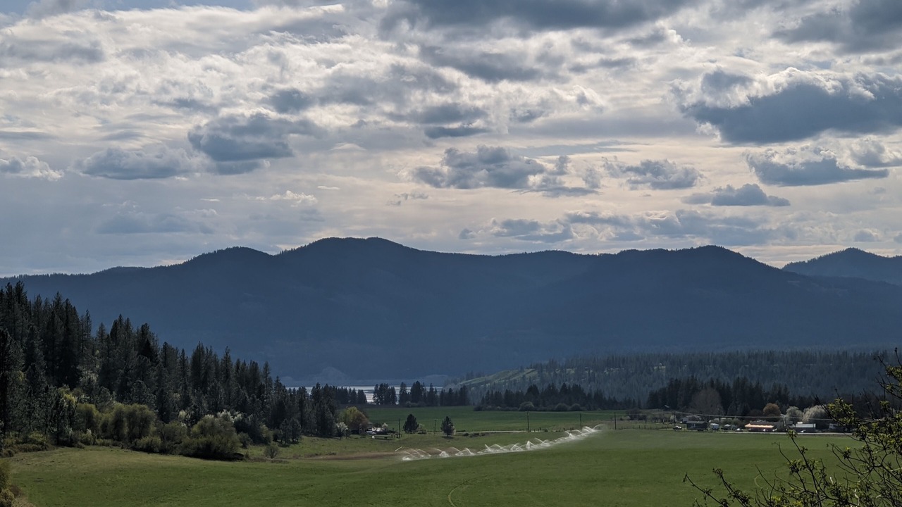 Photo of Others in Hunters