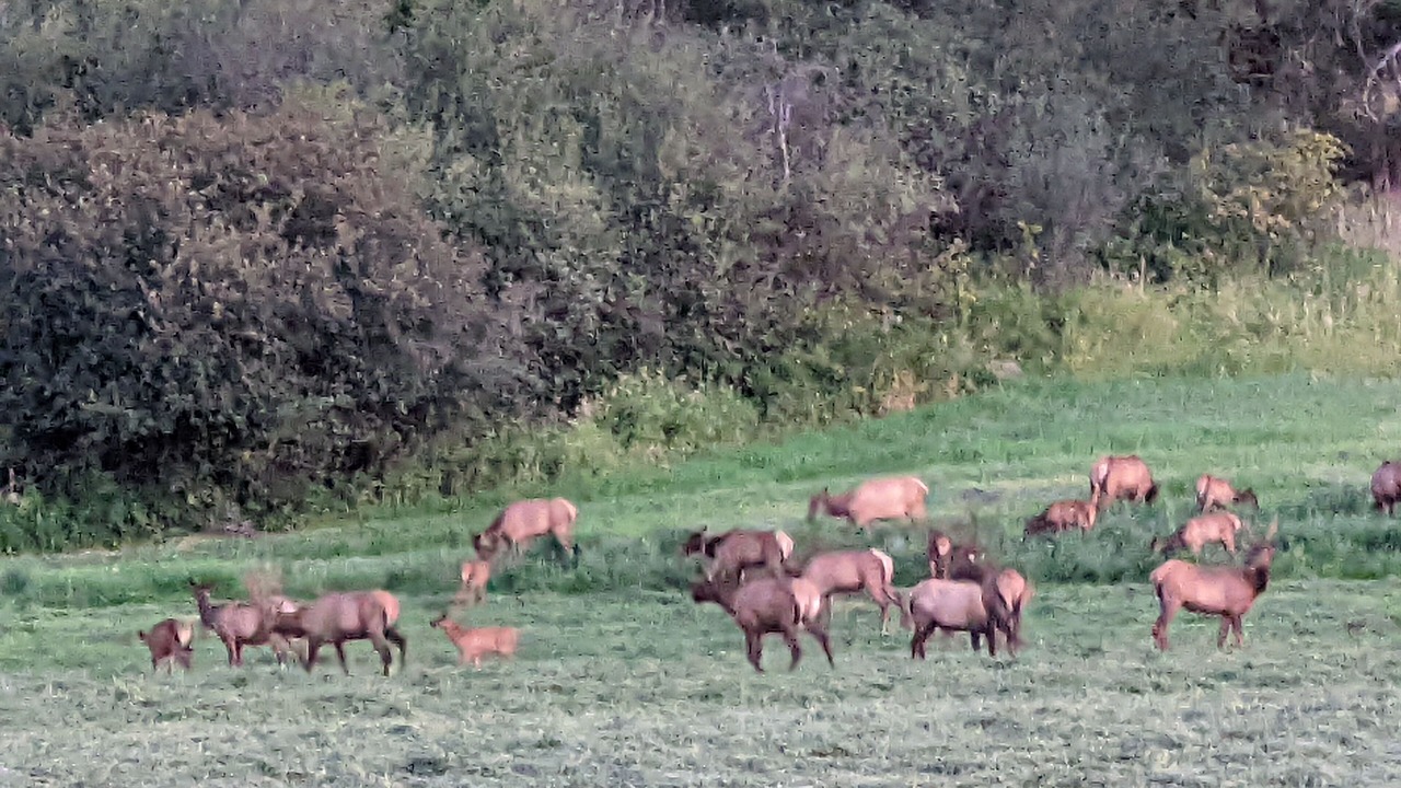 Photo of Others in Hunters