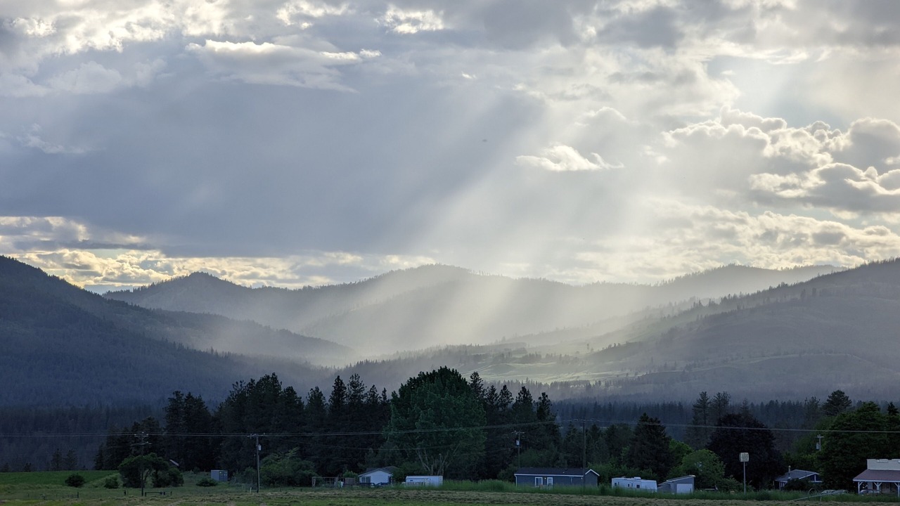 Photo of Others in Hunters